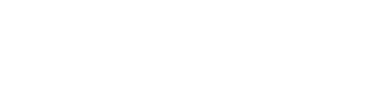 PMG Services Logo